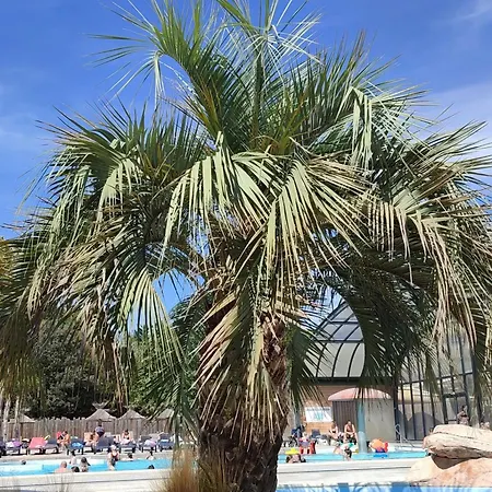 Mh La Pinede Camping Les Mathes